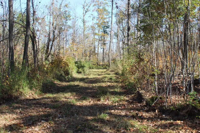 $759,500 | Tbd Woods Road, Isle, MN 56342