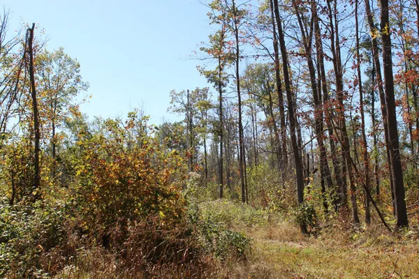 $759,500 | Tbd Woods Road, Isle, MN 56342