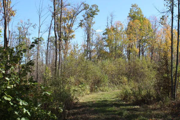 $759,500 | Tbd Woods Road, Isle, MN 56342