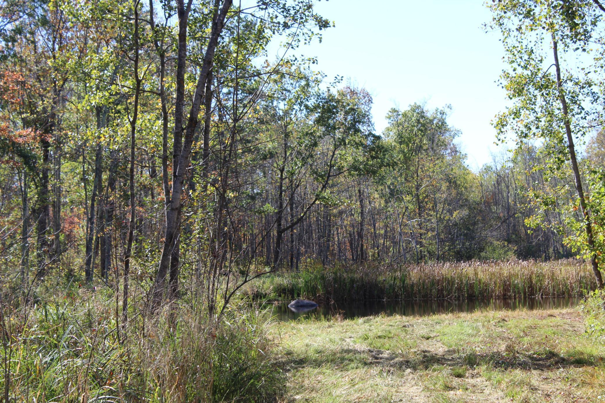 Tbd Woods Road Isle, MN 56342 - Photo 8 of 32