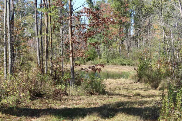 $759,500 | Tbd Woods Road, Isle, MN 56342