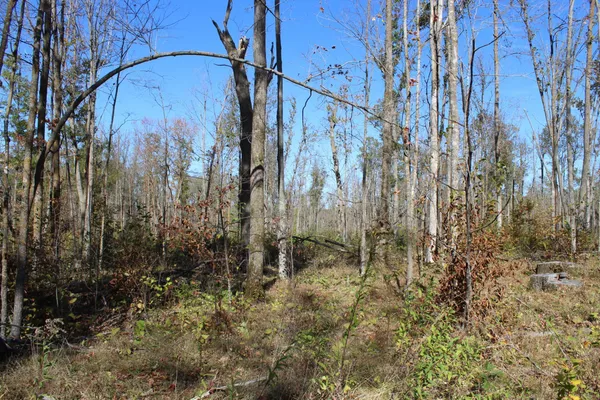 $759,500 | Tbd Woods Road, Isle, MN 56342