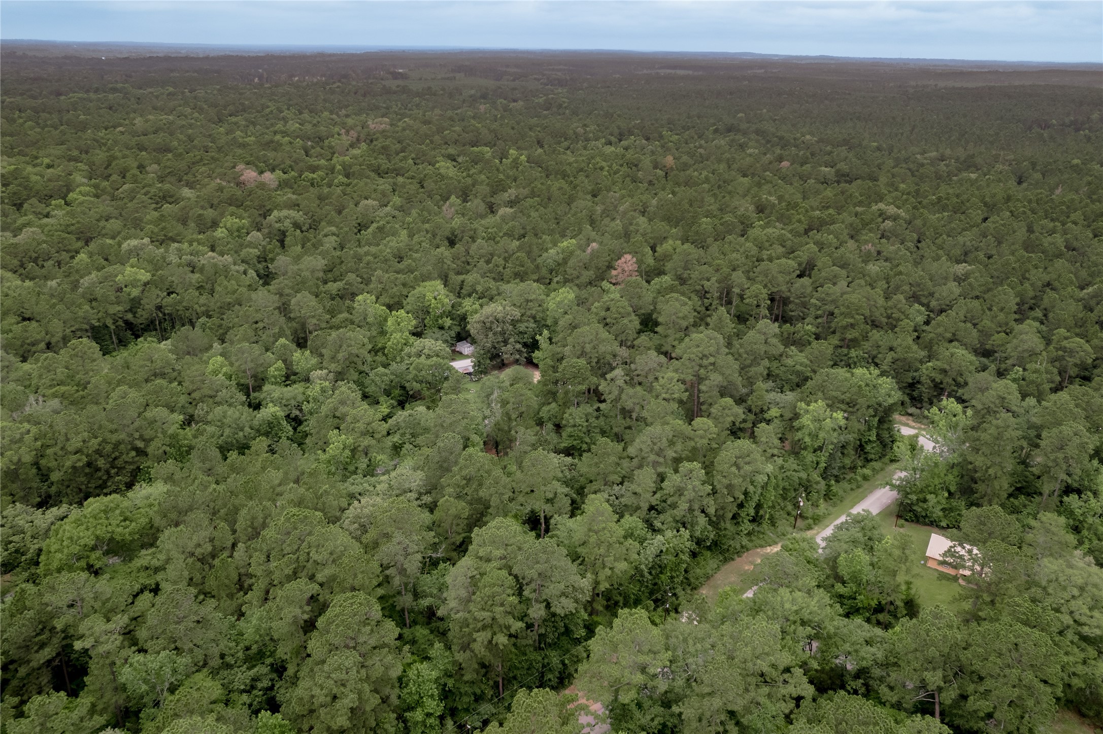 Lot 07 Oak Drive Trinity, TX 75862 - Photo 12 of 36