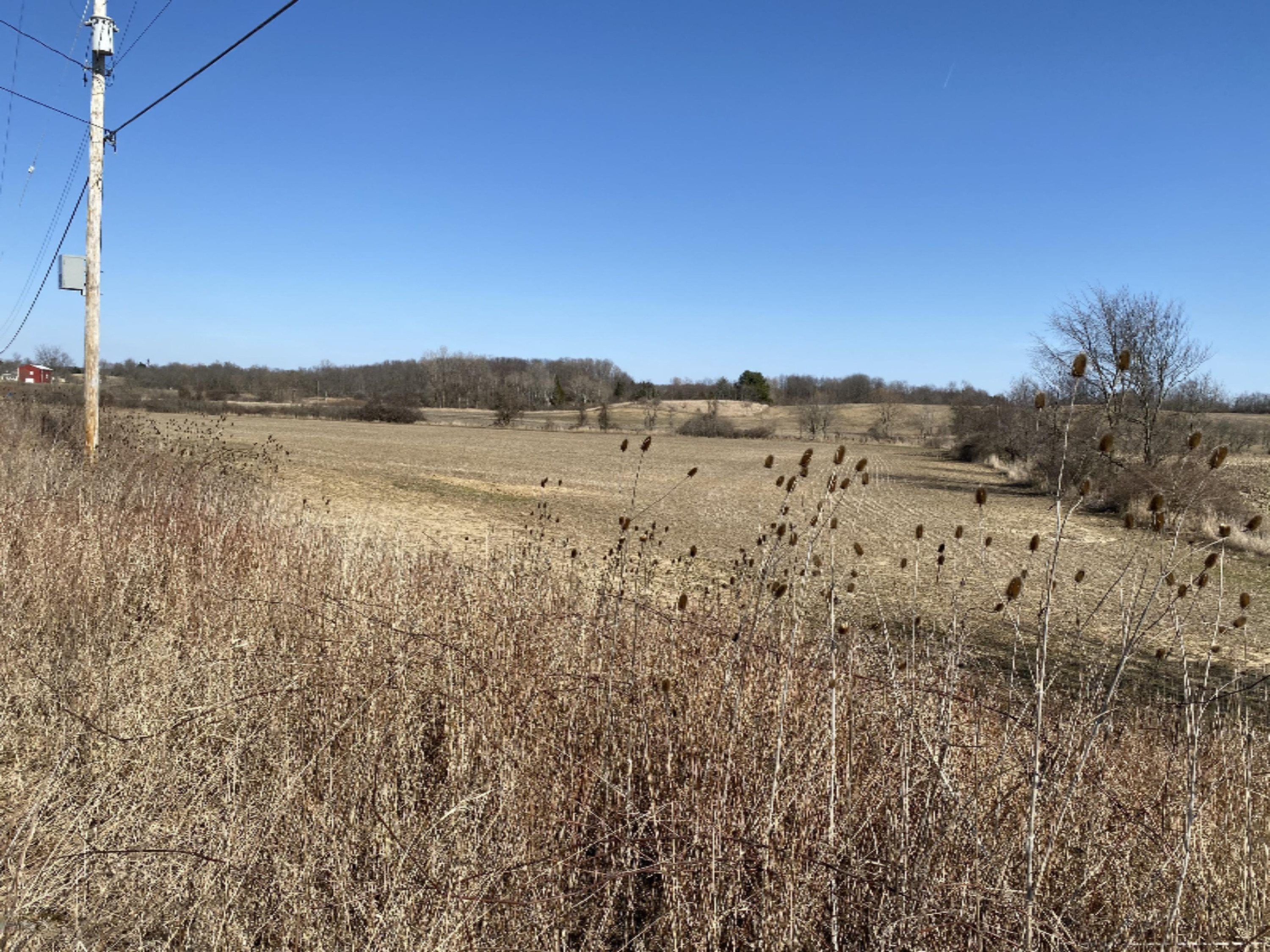 Marshall Road Olivet, MI 49076 - Photo 2 of 11 IMG_0628