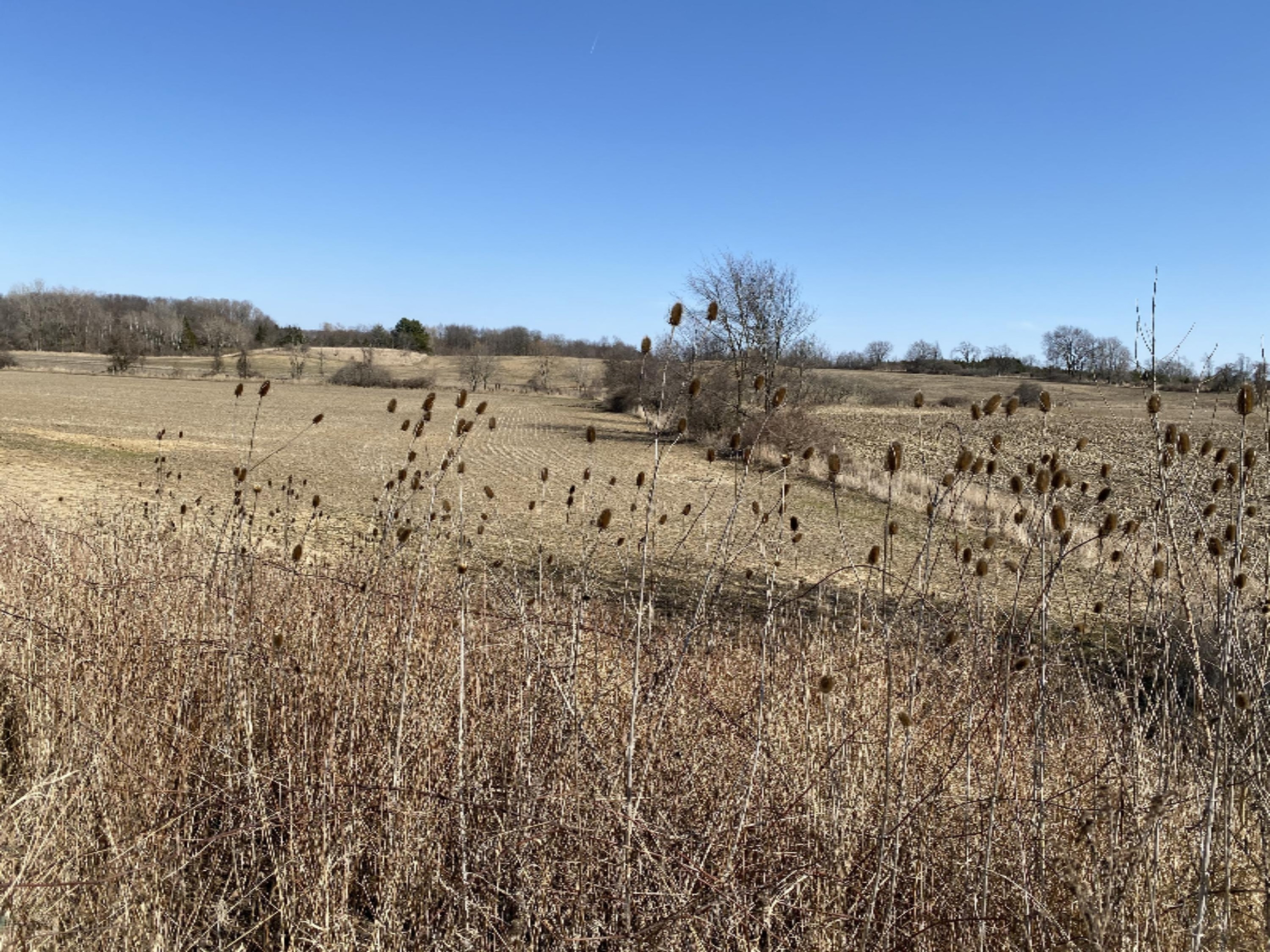 Marshall Road Olivet, MI 49076 - Photo 3 of 11 IMG_0629