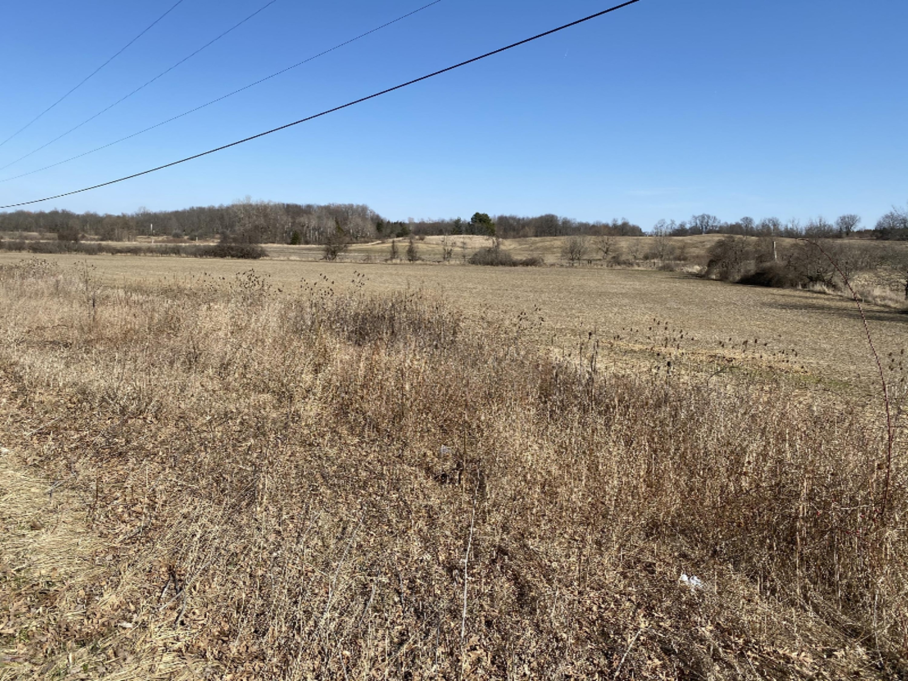 Marshall Road Olivet, MI 49076 - Photo 6 of 11 IMG_0632