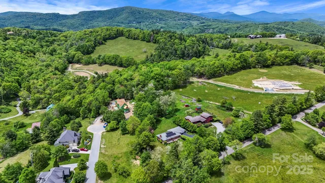 an aerial view of green landscape with trees houses and mountain view