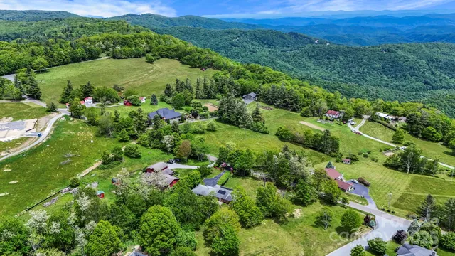 a view of a lush green field with lots of bushes
