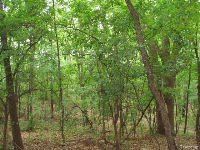 0 Maple Hill Road Rochester, MI 48306 - Photo 5 of 8 DSC08510.JPG