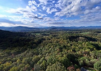 1837 Deep South Farm Road Blairsville, GA 30512 - Photo 15 of 76