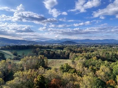 1837 Deep South Farm Road Blairsville, GA 30512 - Photo 2 of 76 a view of a lake with a mountain in the background