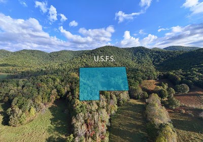 1837 Deep South Farm Road Blairsville, GA 30512 - Photo 3 of 76 a view of a lake with a mountain