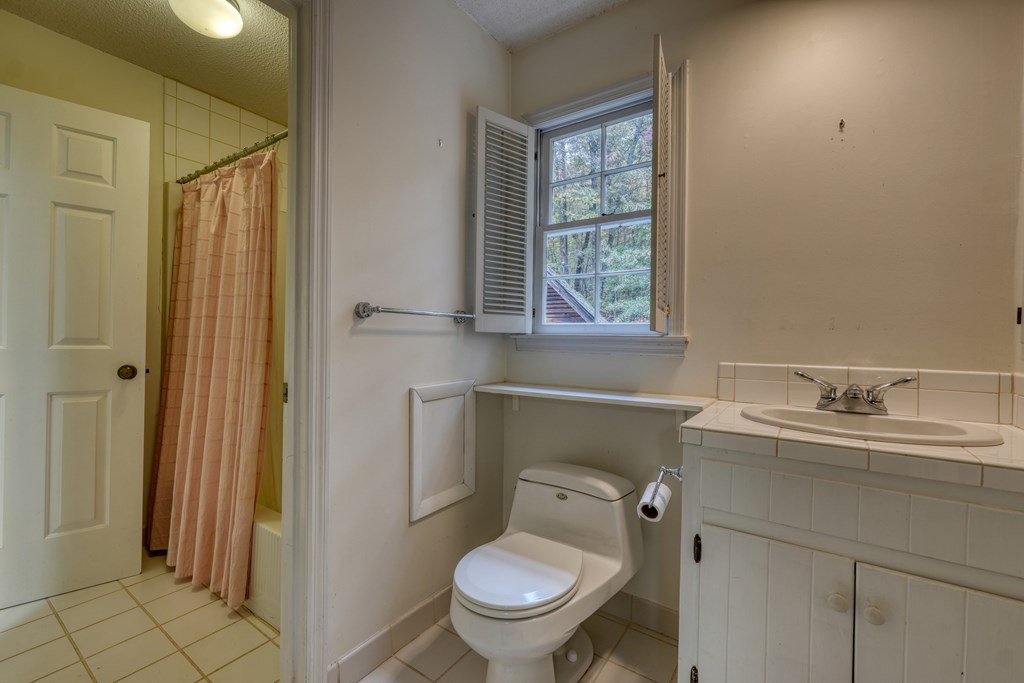 1837 Deep South Farm Road Blairsville, GA 30512 - Photo 53 of 76 a bathroom with a granite countertop toilet sink and mirror