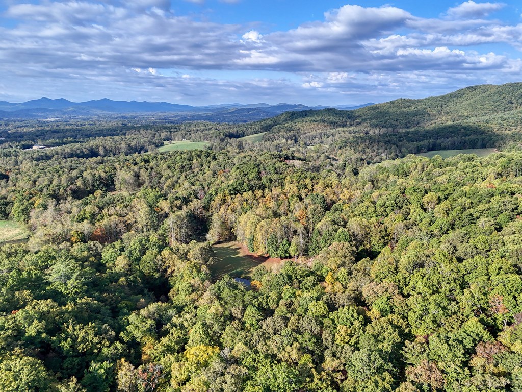 1837 Deep South Farm Road Blairsville, GA 30512 - Photo 76 of 76