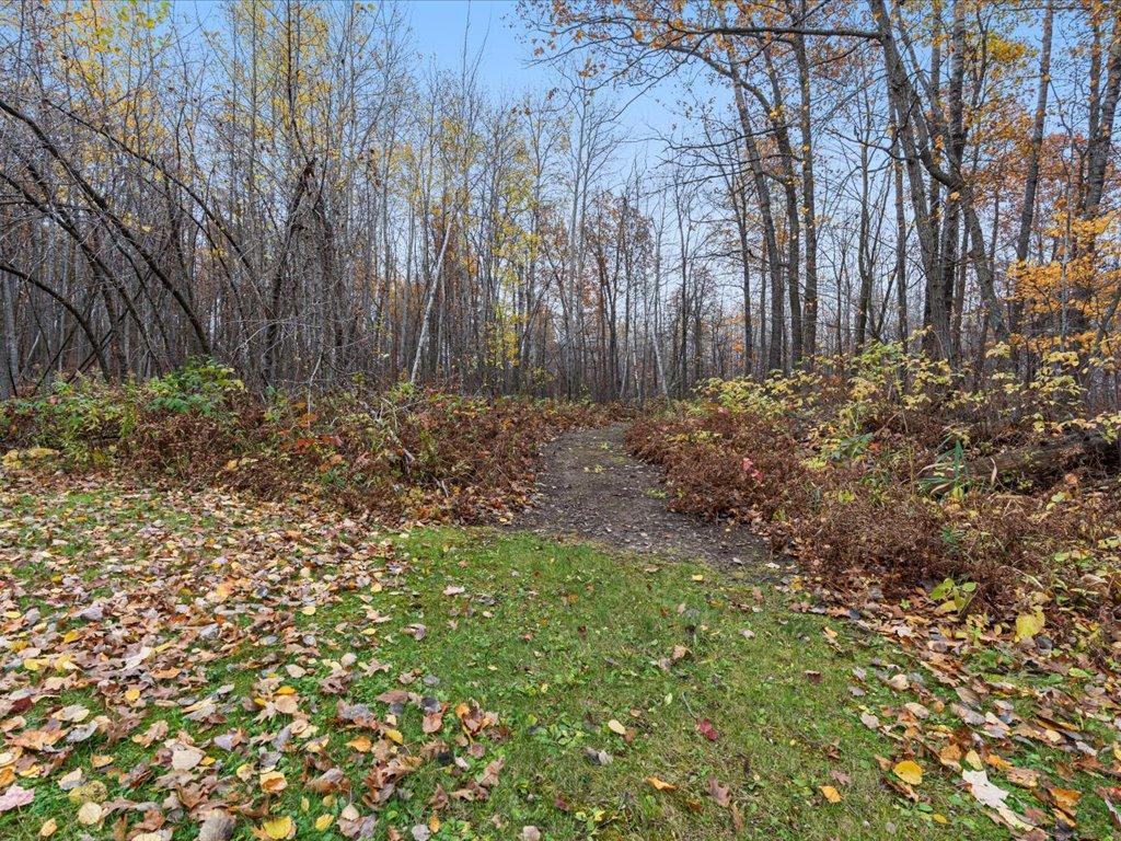 3918 44th Street Southwest Pine River, MN 56474 - Photo 28 of 53