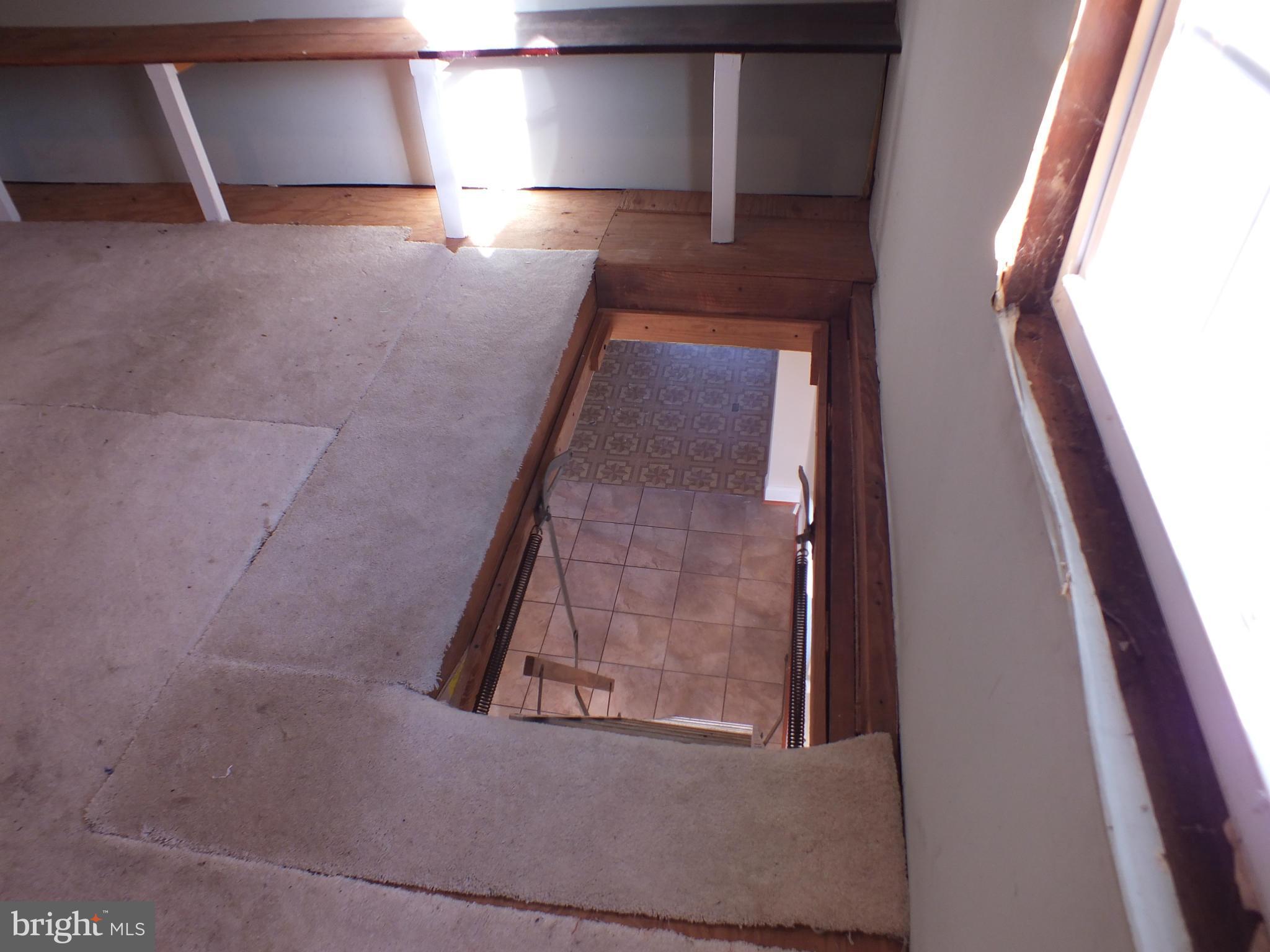 6938 Oak Ridge Road Falls Church, VA 22042 - Photo 21 of 29 Pull Down Stairs From Attic