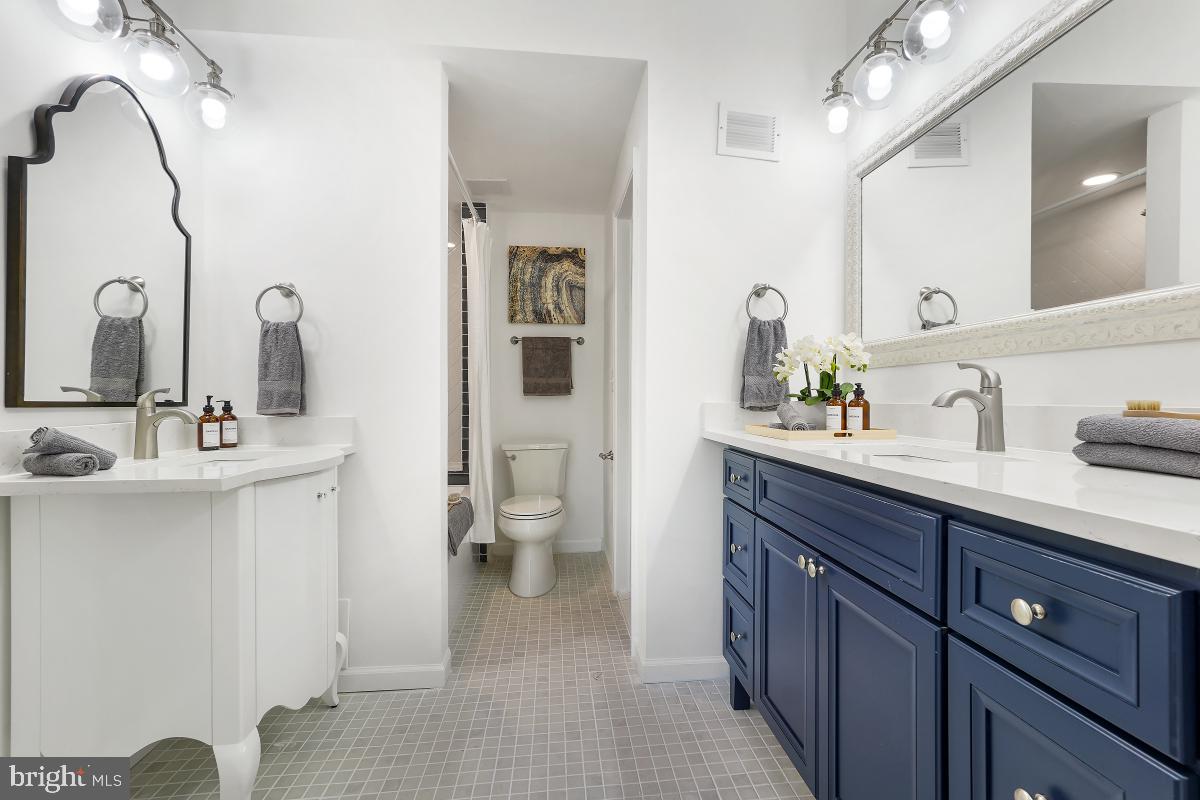 6600 Queens Chapel Road University Park, MD 20782 - Photo 16 of 72 Two sink and soaking tub