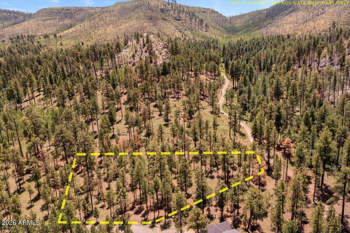 14 County Rd N1062, Unit 15 Greer, AZ 85927 - Photo 12 of 15 12-DJI_0496