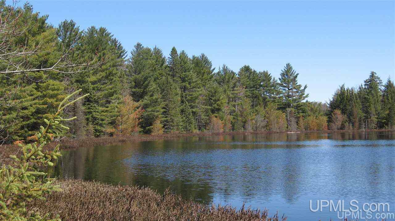 0 Co Road, Unit BECKS LAKE McMillan, MI 49853 - Photo 2 of 5