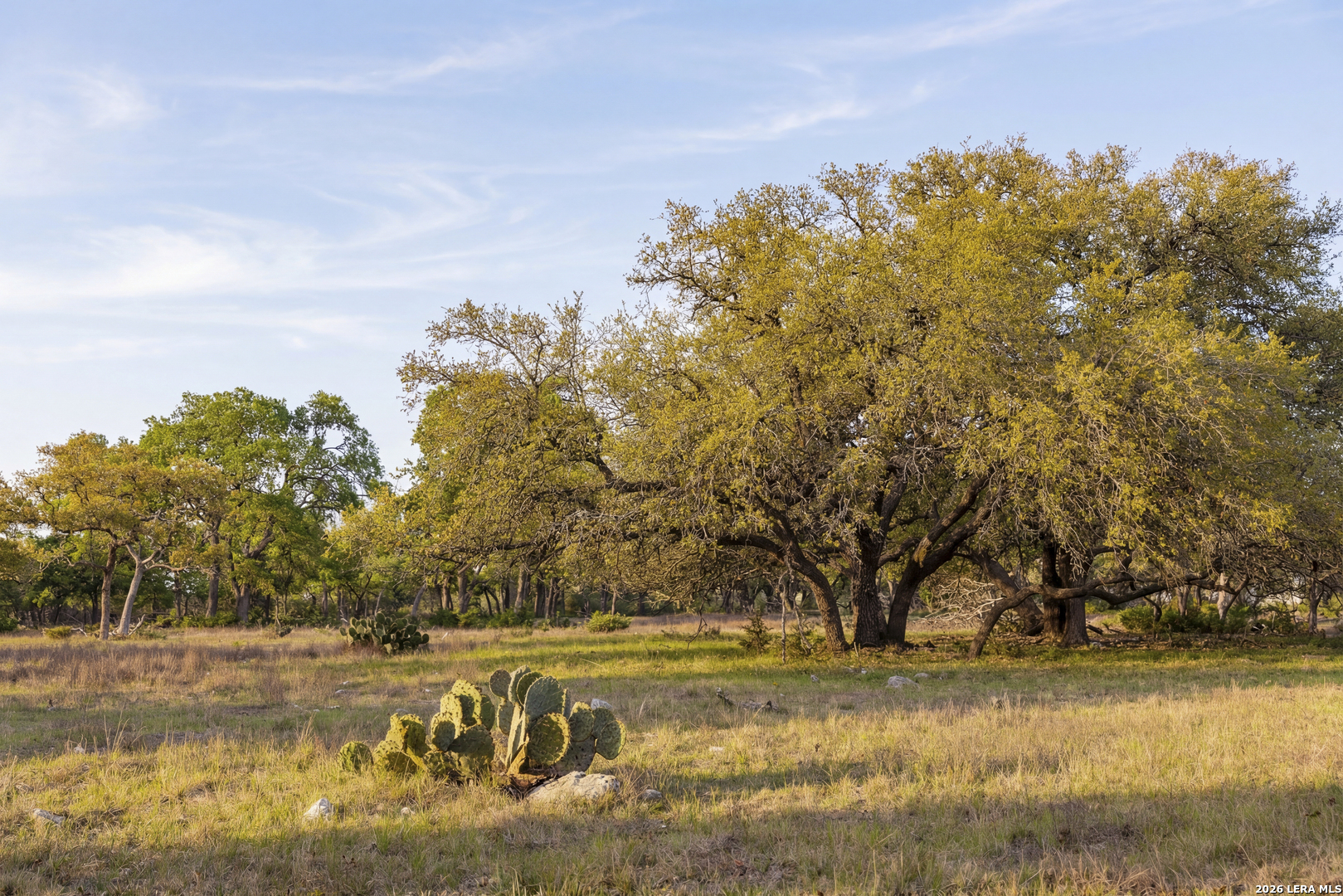 Tbd Sattler Road Spring Branch, TX 78070 - Photo 11 of 11 a view of a yard with an trees
