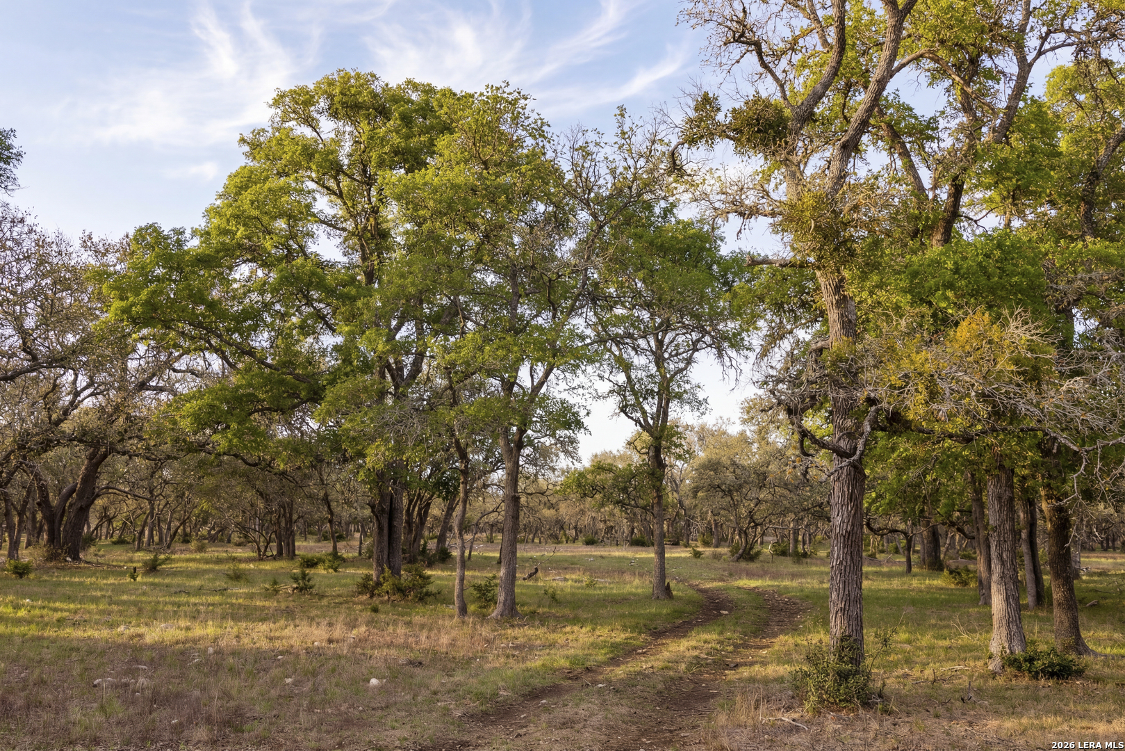 Tbd Sattler Road Spring Branch, TX 78070 - Photo 5 of 11 a view of a yard with trees