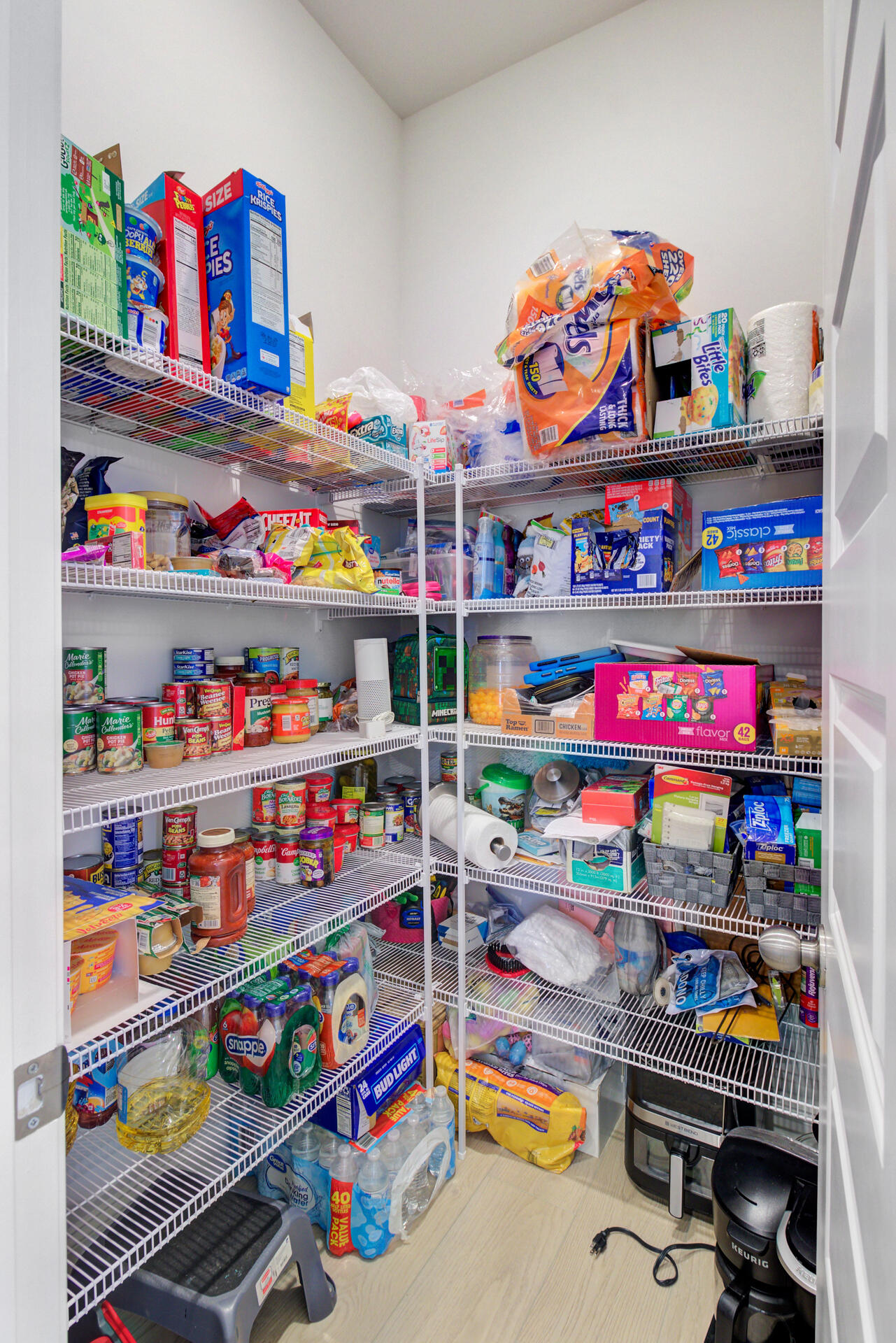 254 Red Blf Street Summerville, SC 29483 - Photo 15 of 67 over-sized walk-in pantry