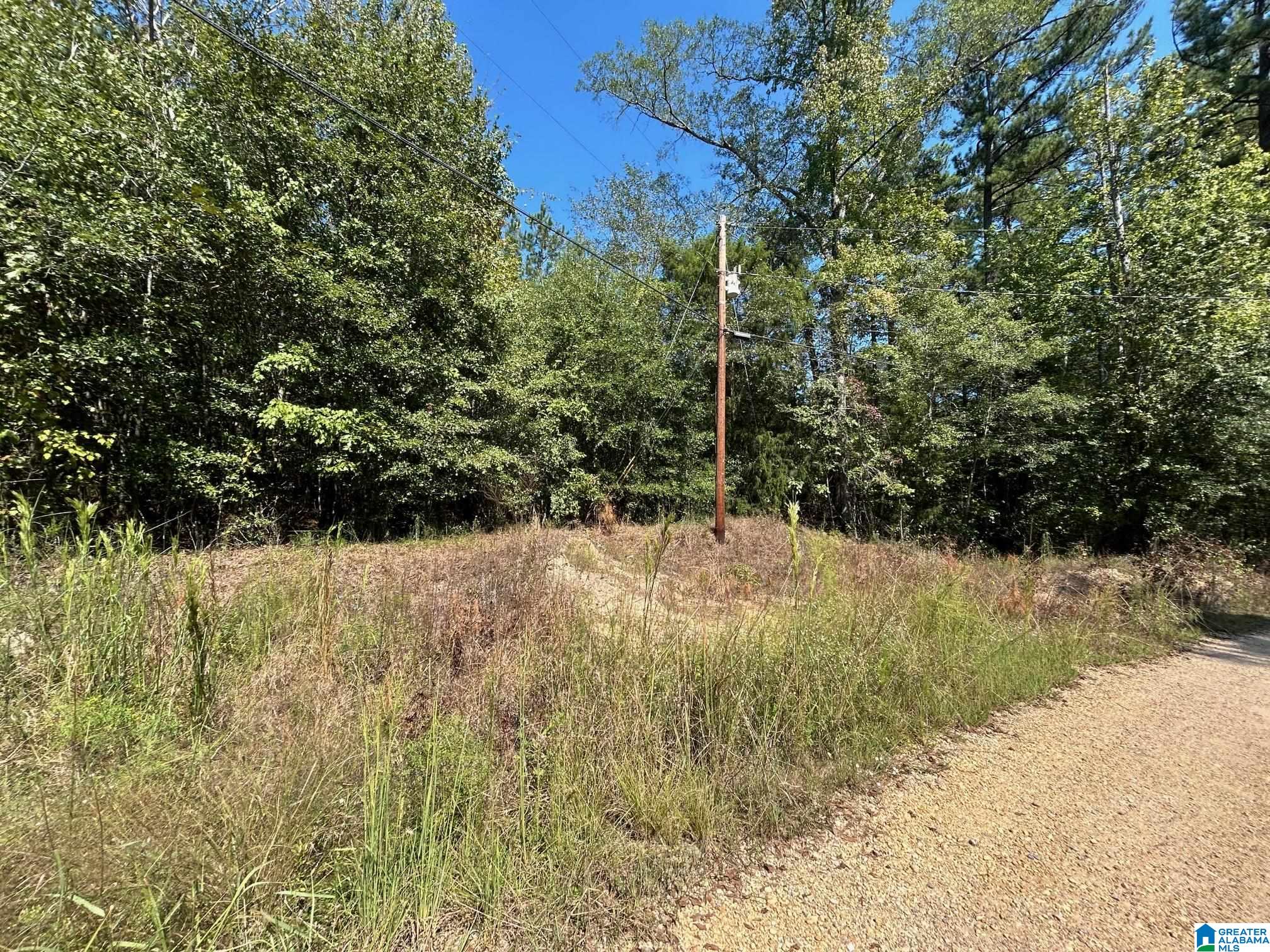 Rocky View Road West Blocton, AL 35184 - Photo 7 of 7
