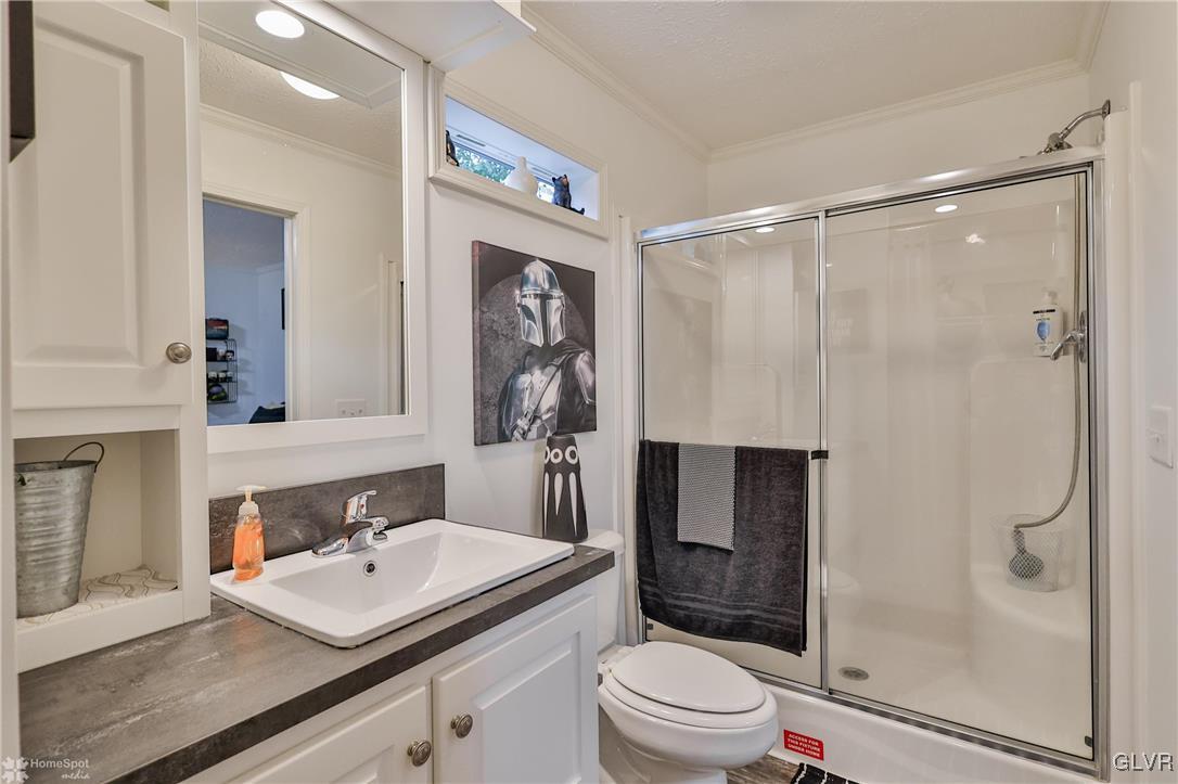 8711 Turkey Ridge Road Breinigsville, PA 18031 - Photo 28 of 40 a bathroom with a sink a toilet and shower