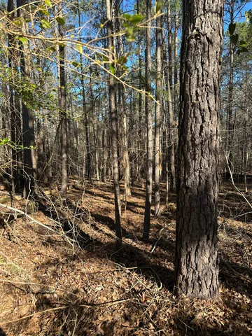 $44,900 | 1048 Longstreet Place, North Augusta, SC 29860