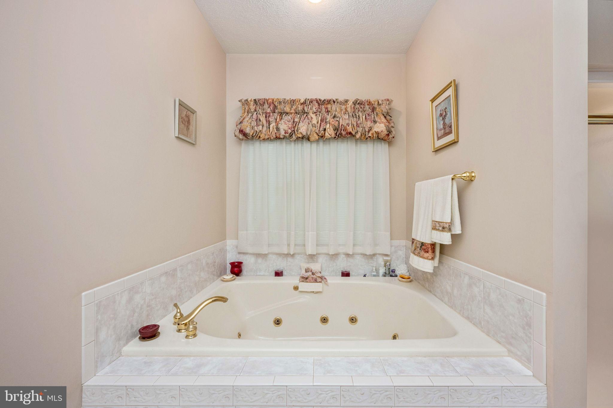 32236 Deep Meadow Lane Locust Grove, VA 22508 - Photo 25 of 58 Primary bathroom spa-like retreat for relaxation.