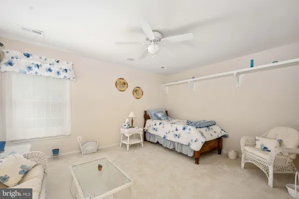 a view of a yard with a trees