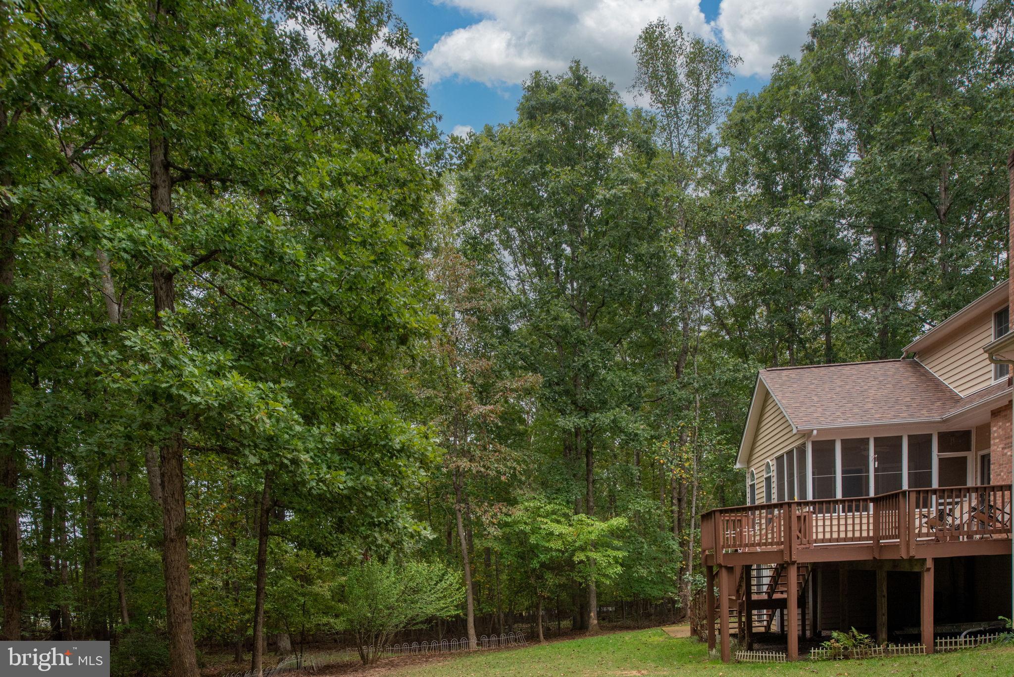 32236 Deep Meadow Lane Locust Grove, VA 22508 - Photo 47 of 58 home nestled among lush greenery.