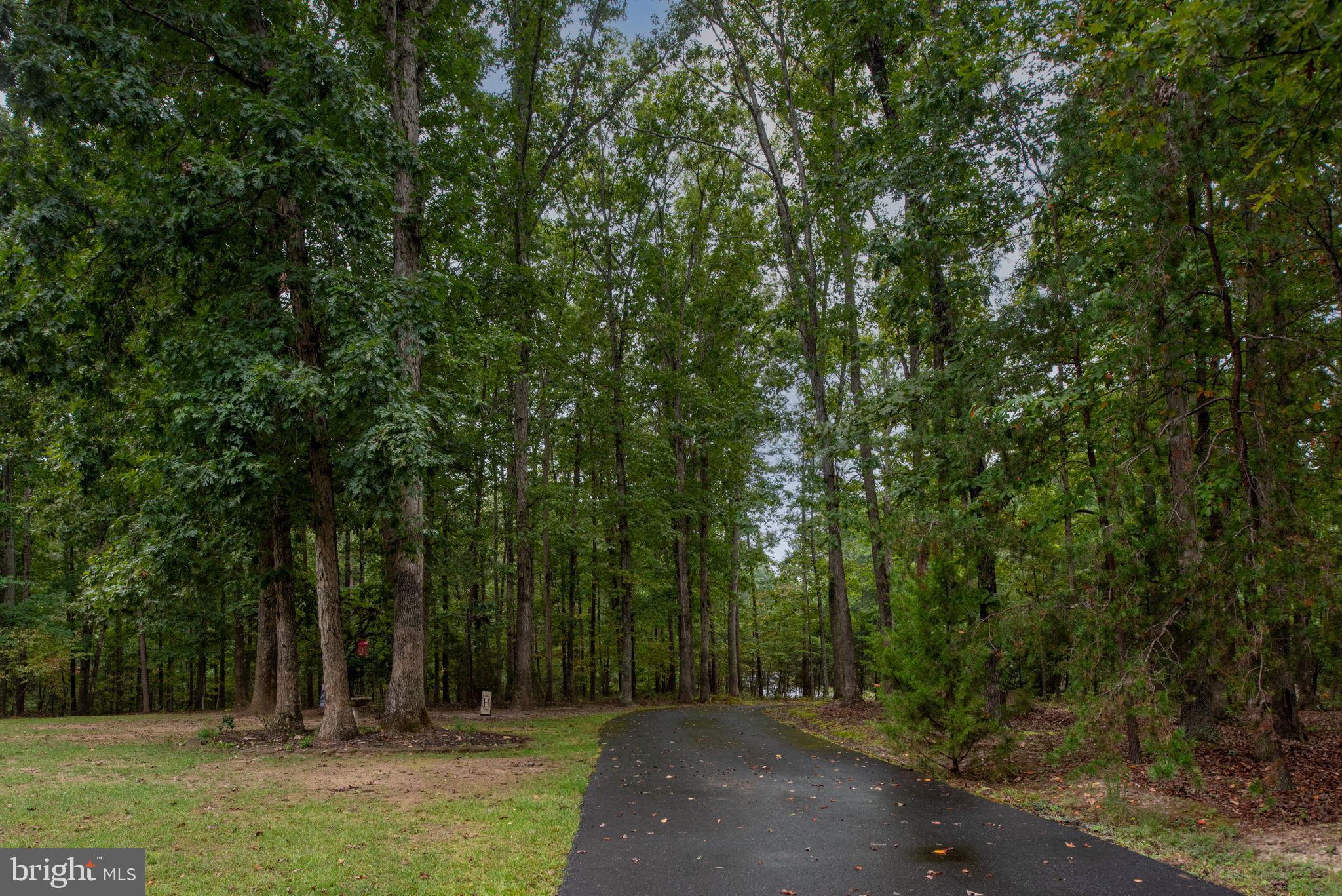 32236 Deep Meadow Lane Locust Grove, VA 22508 - Photo 52 of 58 Private driveway leading to your new home