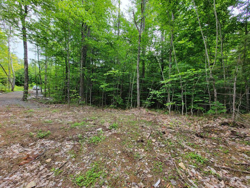 1 Railroad Bed Rd Lake View Milo, ME 04463 - Photo 16 of 27 lot pic