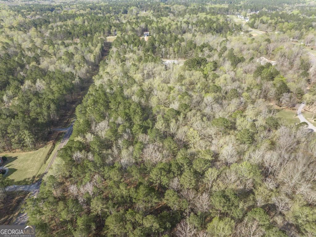 41 Hickory Lane Gray, GA 31032 - Photo 5 of 13 a close view of a yard