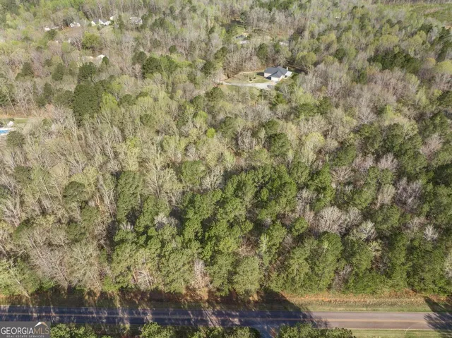 a view of a lush green forest with lush green forest