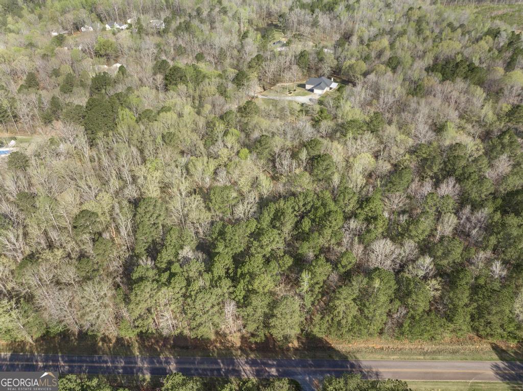 41 Hickory Lane Gray, GA 31032 - Photo 9 of 13 a view of a yard with plants and brick wall