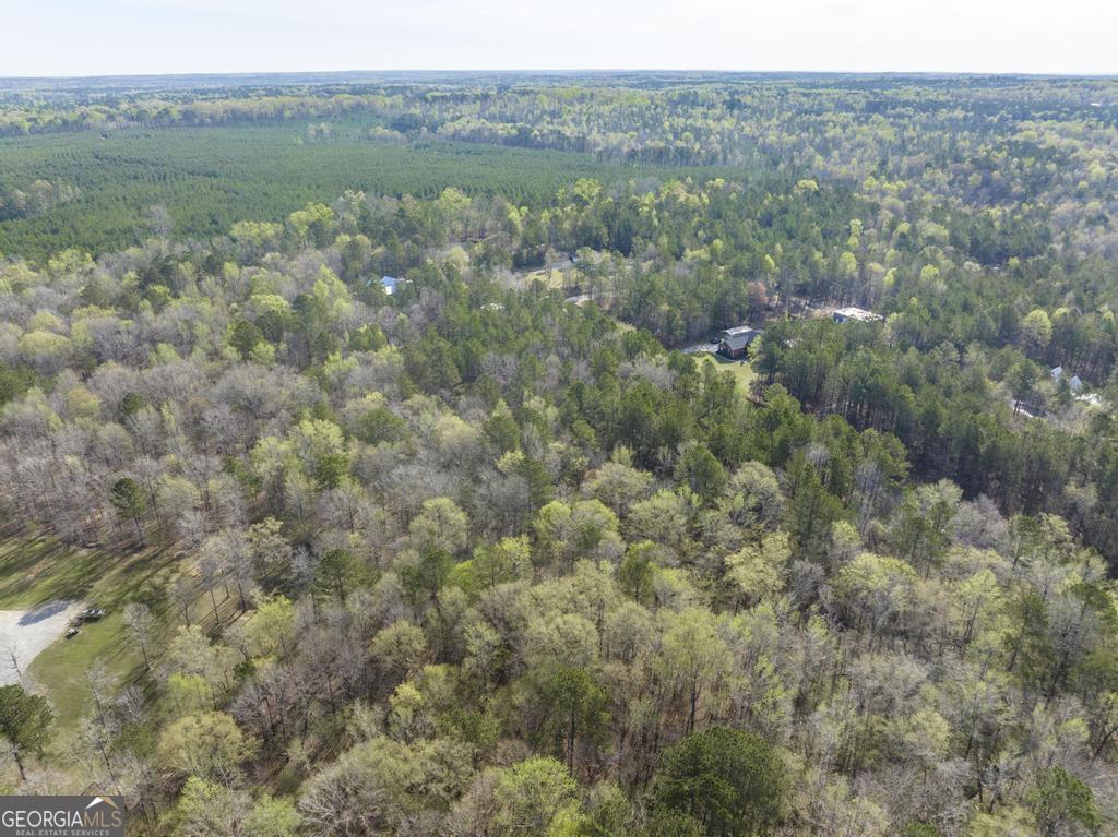 41 Hickory Lane Gray, GA 31032 - Photo 10 of 13 a view of a lush green forest with lush green forest