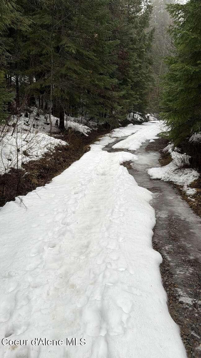 849 West Gold Creek Ridge Road Sandpoint, ID 83864 - Photo 23 of 30 Fernandez.23