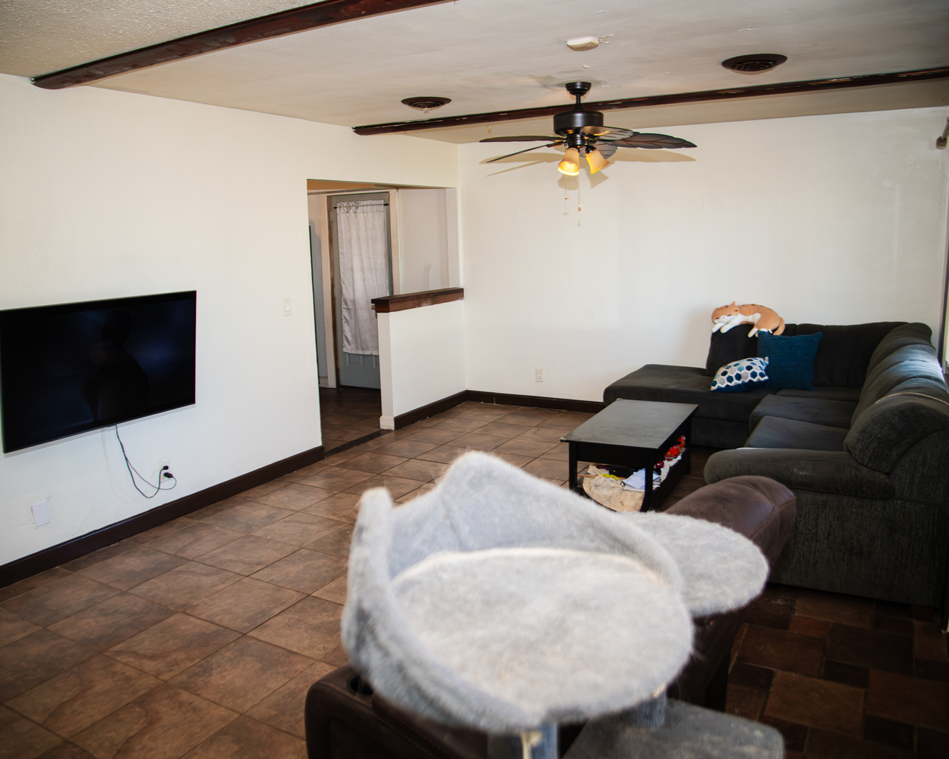13610 137th Avenue West Taylor Ridge, IL 61284 - Photo 3 of 24 a living room with furniture and a flat screen tv