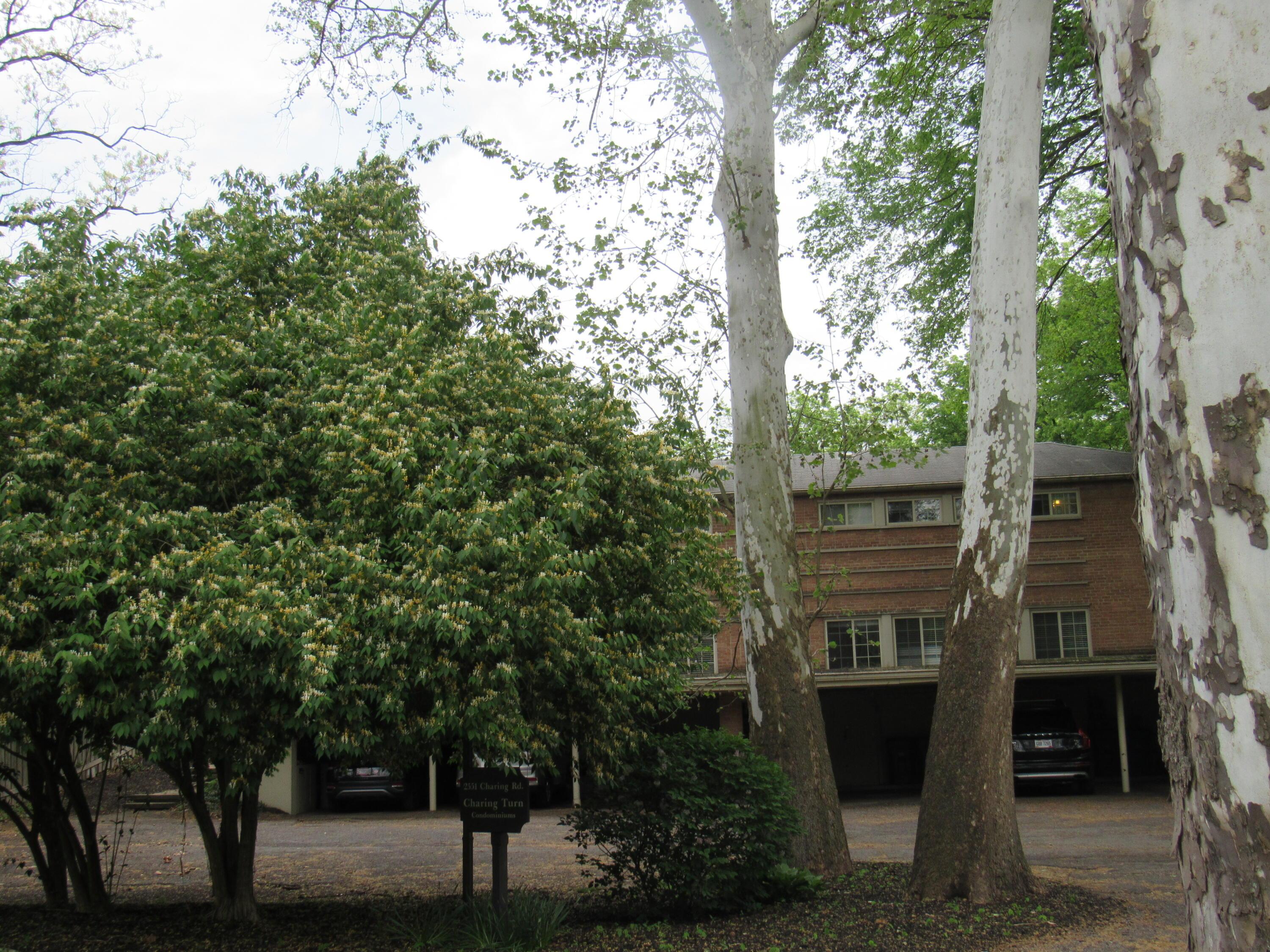 2551 Charing Road, Unit 6 Upper Arlington, OH 43221 - Photo 28 of 29 Charing Turn, Quiet 6 Unit Complex
