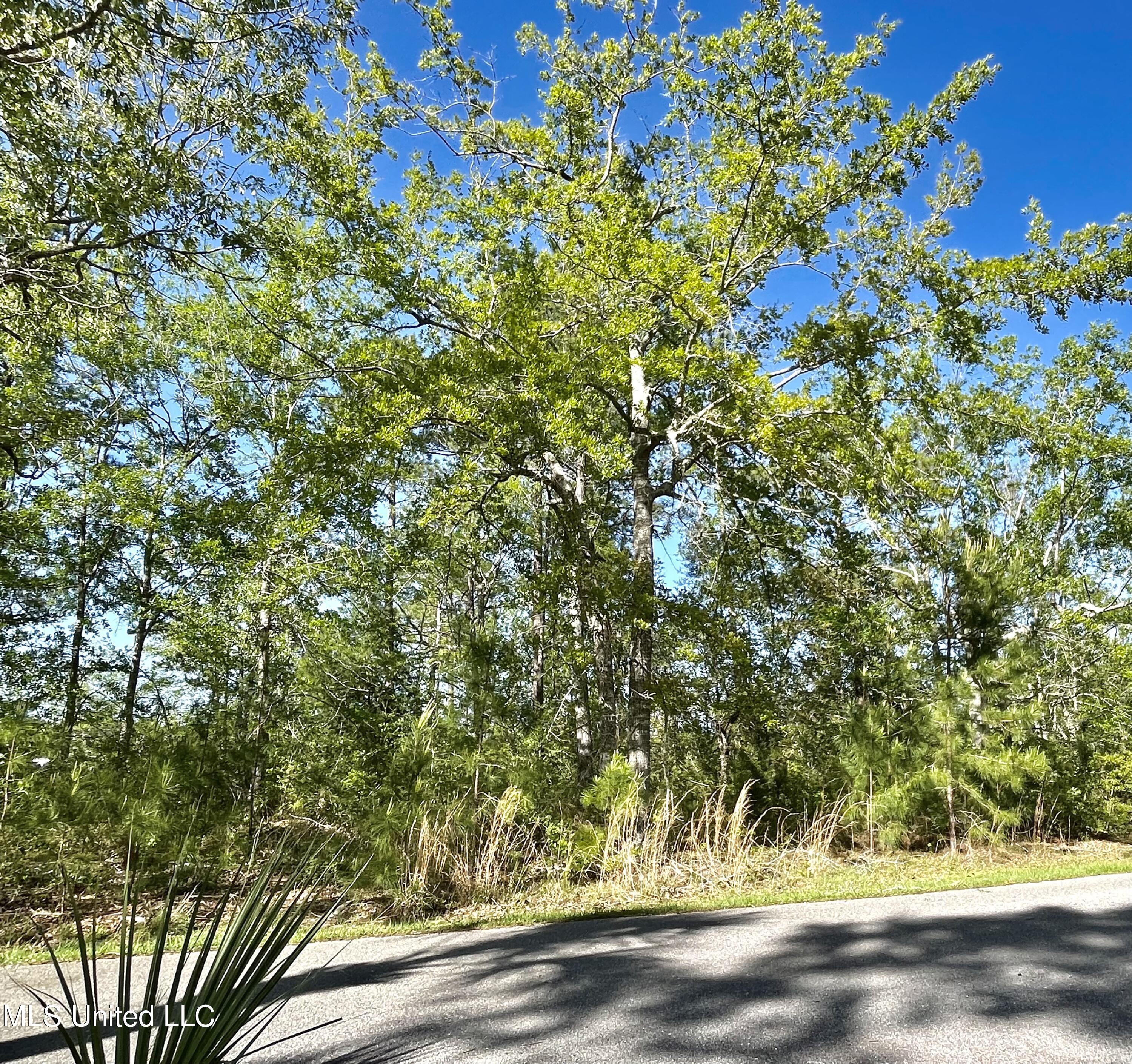 0 Olde Oak View Ocean Springs, MS 39564 - Photo 22 of 33 Your front yard