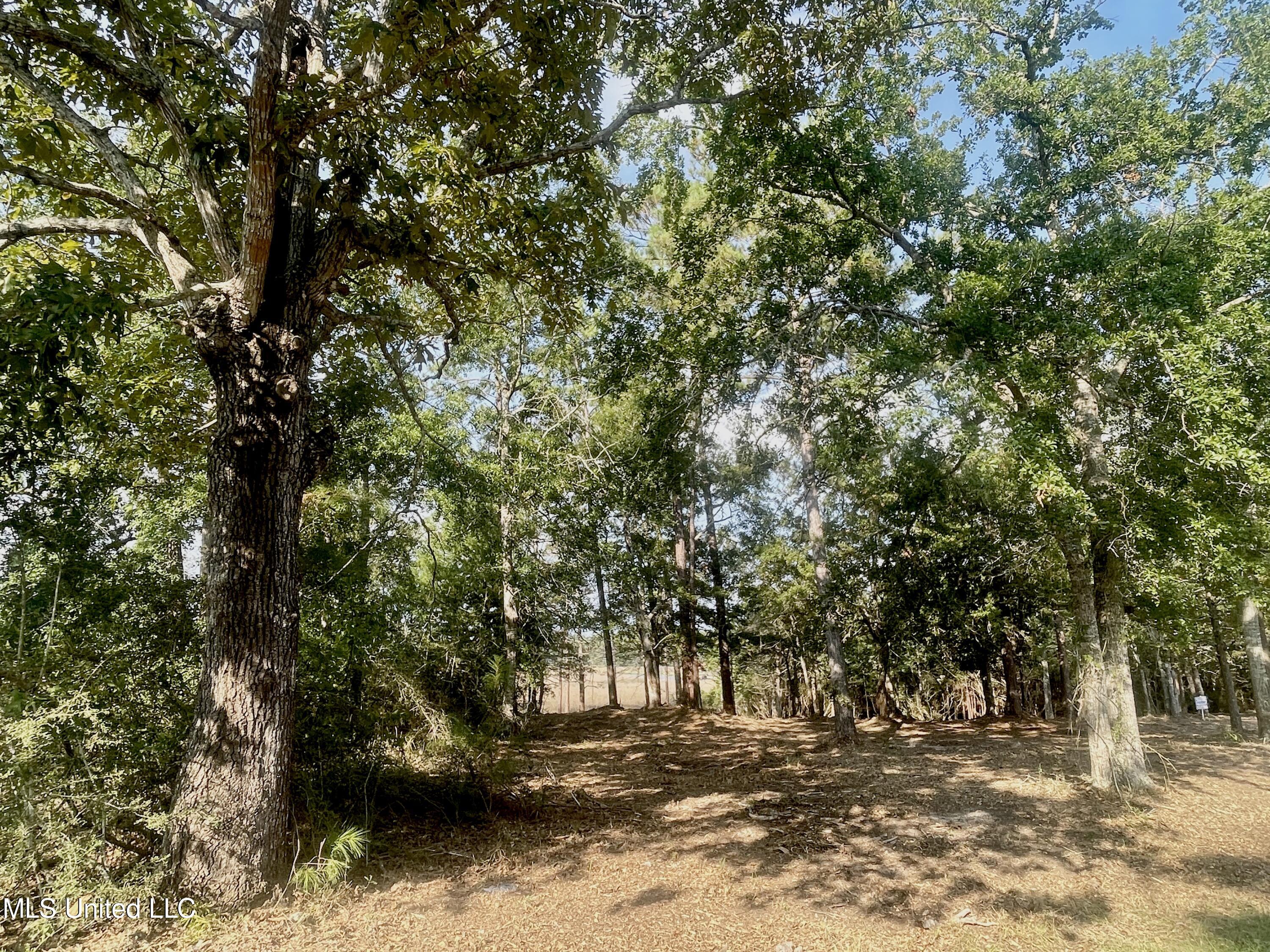 0 Olde Oak View Ocean Springs, MS 39564 - Photo 27 of 33 Wide lot