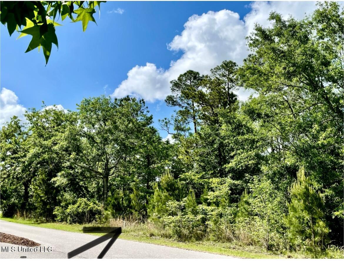 0 Olde Oak View Ocean Springs, MS 39564 - Photo 28 of 33 Olde Oak View