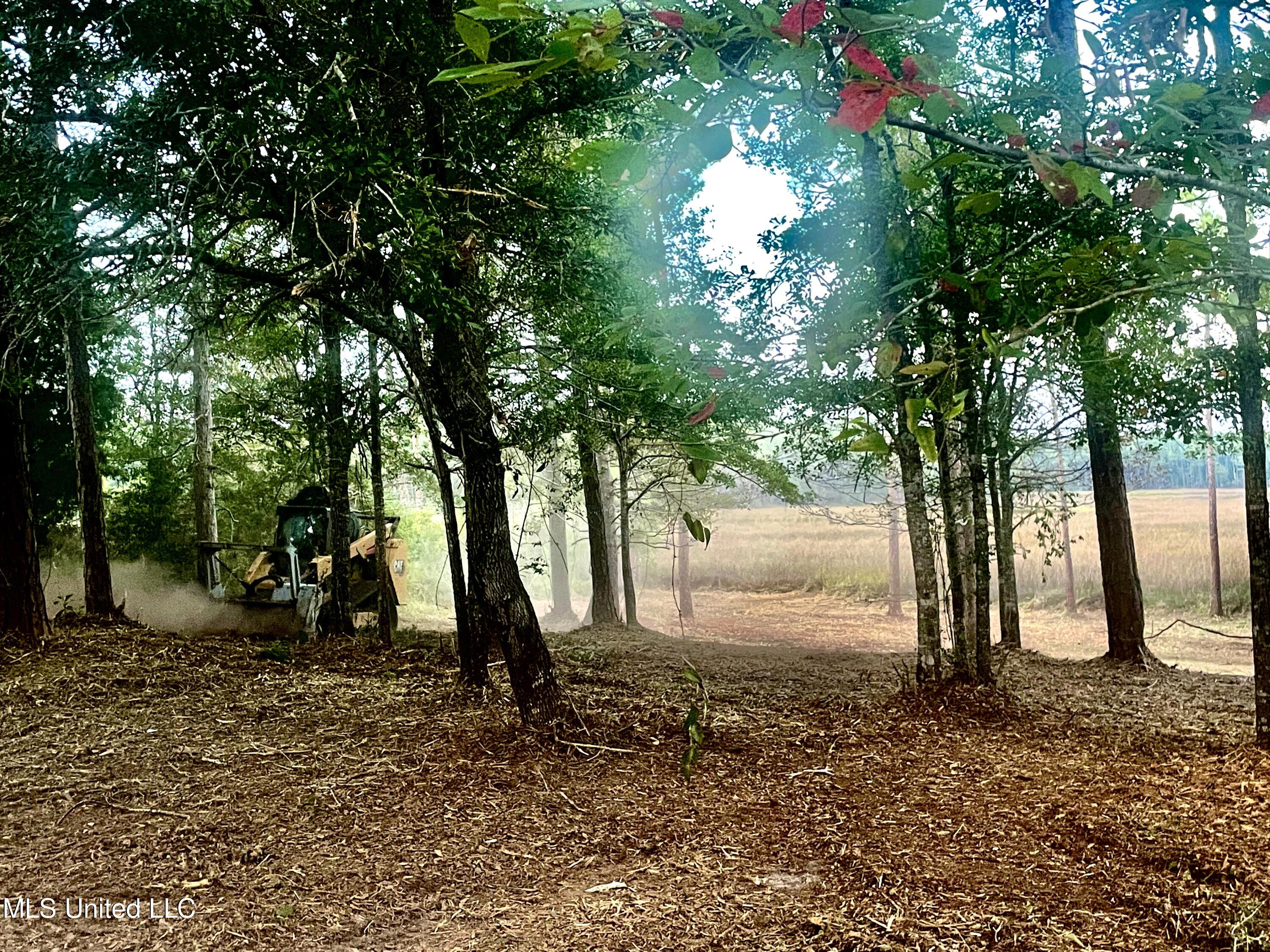 0 Olde Oak View Ocean Springs, MS 39564 - Photo 3 of 33 Gentle slope