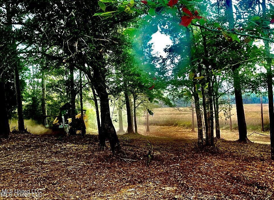 0 Olde Oak View Ocean Springs, MS 39564 - Photo 31 of 33 IMG_2361