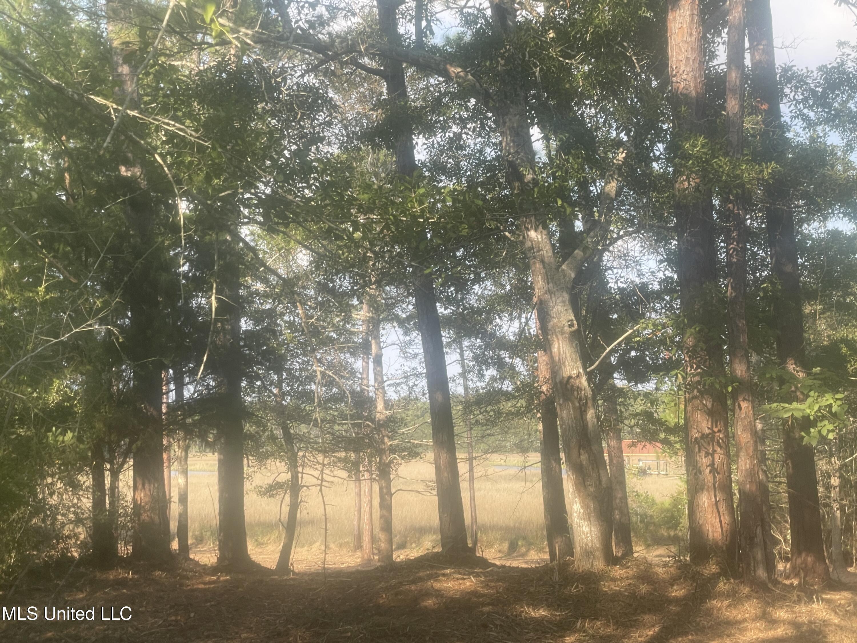 0 Olde Oak View Ocean Springs, MS 39564 - Photo 4 of 33 Bayou frontage