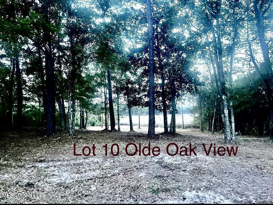 0 Olde Oak View Ocean Springs, MS 39564 - Photo 7 of 33 IMG_2362
