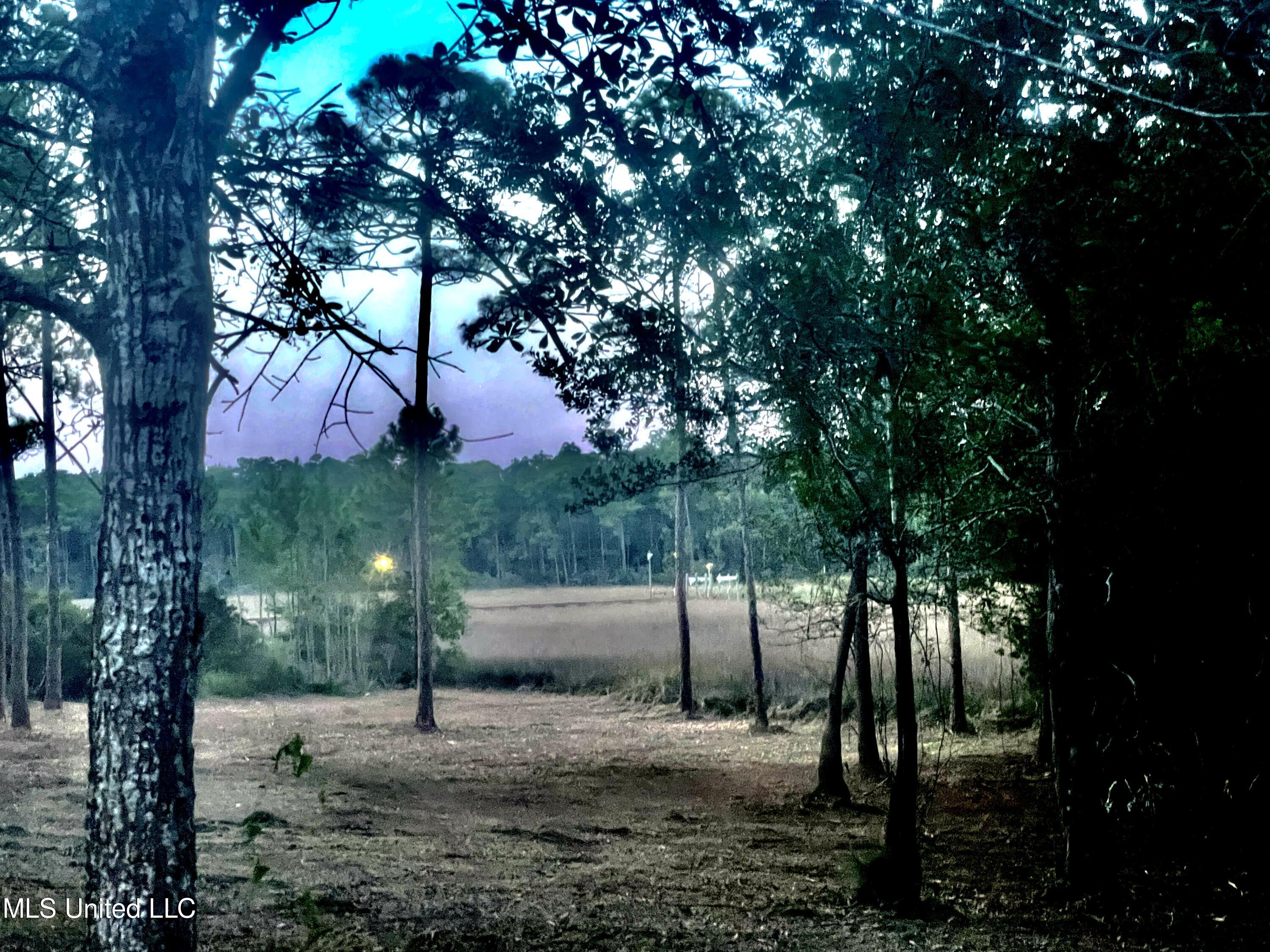 0 Olde Oak View Ocean Springs, MS 39564 - Photo 10 of 33 Sunset