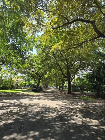 a view of outdoor space with deck and trees